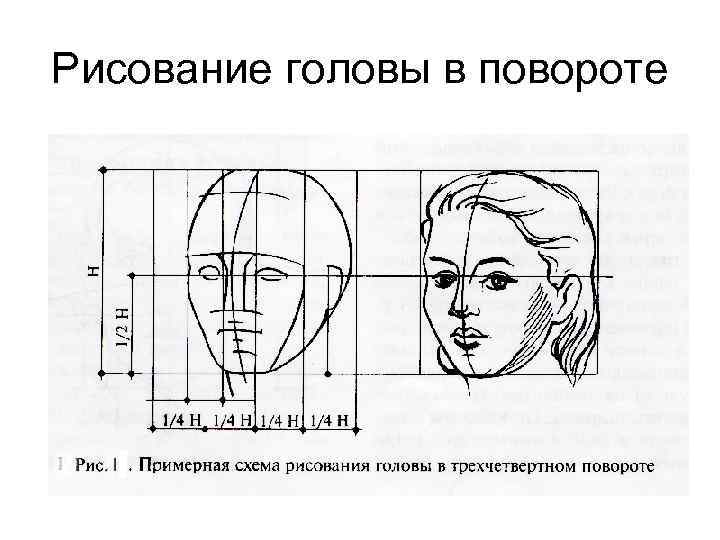 Рисование головы в повороте 