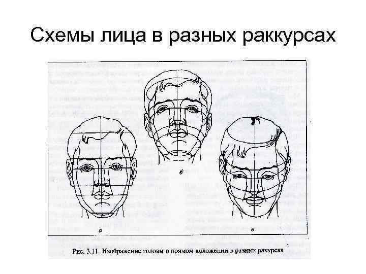 Схемы лица в разных раккурсах 