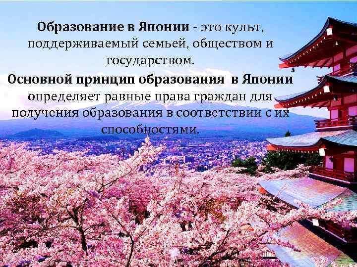 Образование в Японии - это культ, поддерживаемый семьей, обществом и государством. Основной принцип образования