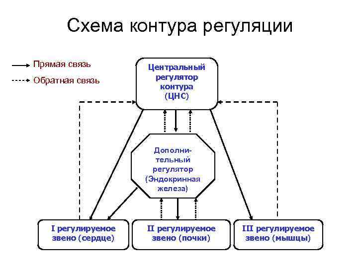 Как определить обратную связь по схеме