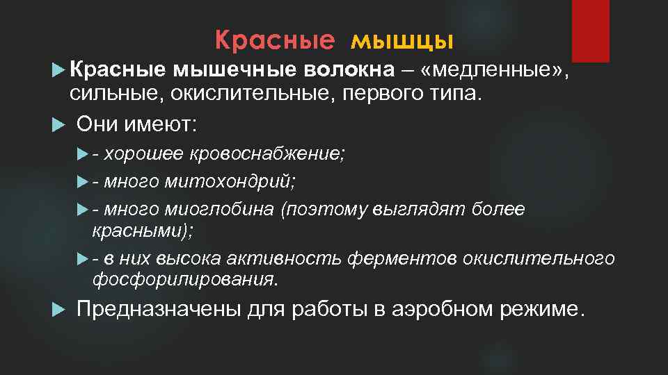 Красные мышцы Красные мышечные волокна – «медленные» , сильные, окислительные, первого типа. Они имеют: