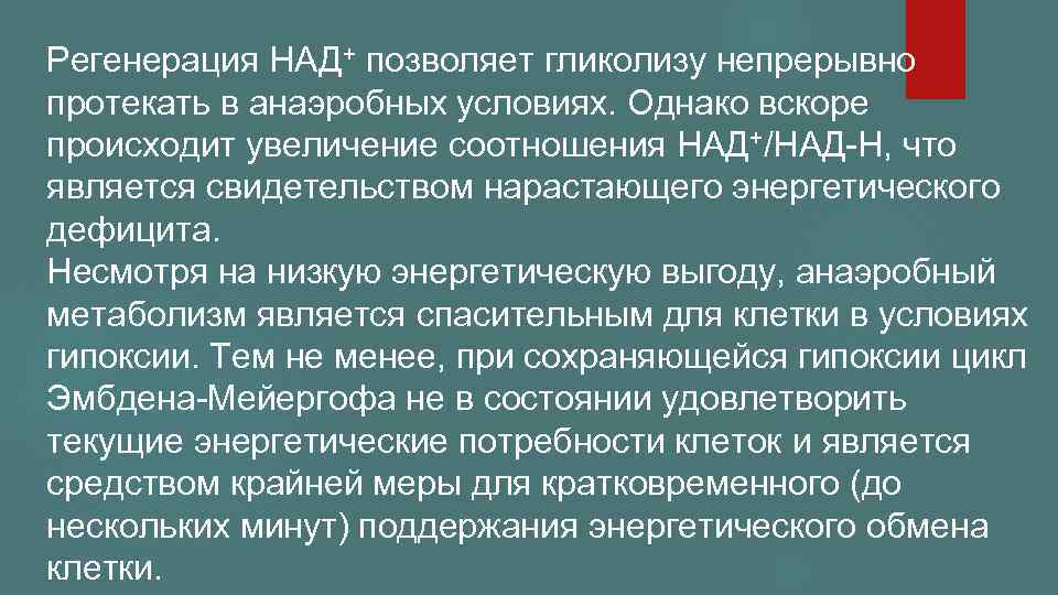 Регенерация НАД+ позволяет гликолизу непрерывно протекать в анаэробных условиях. Однако вскоре происходит увеличение соотношения