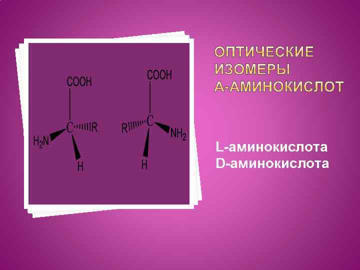 L-аминокислота D-аминокислота 