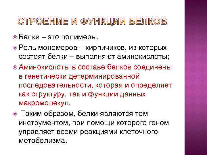  Белки – это полимеры. Роль мономеров – кирпичиков, из которых состоят белки –