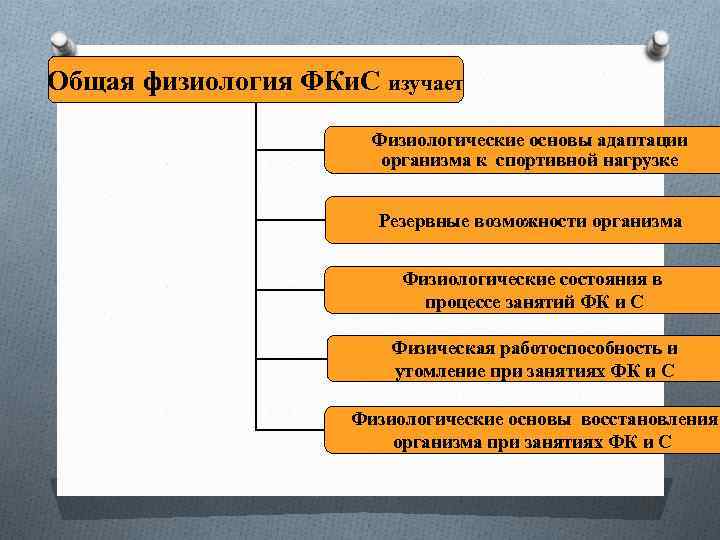 Общая физиология ФКи. С изучает Физиологические основы адаптации организма к спортивной нагрузке Резервные возможности