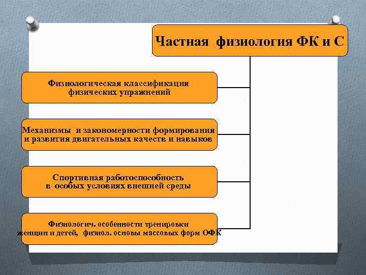 Частная физиология ФК и С Физиологическая классификация физических упражнений Механизмы и закономерности формирования и