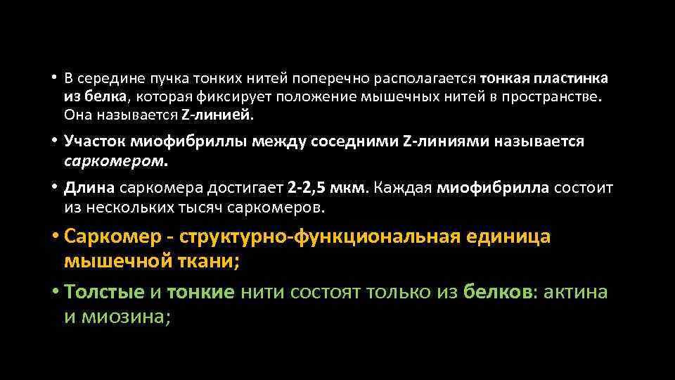  • В середине пучка тонких нитей поперечно располагается тонкая пластинка из белка, которая
