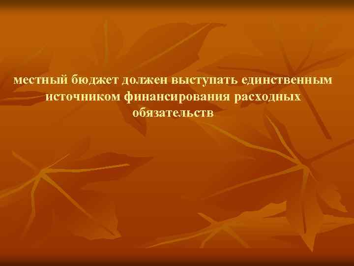 местный бюджет должен выступать единственным источником финансирования расходных обязательств 