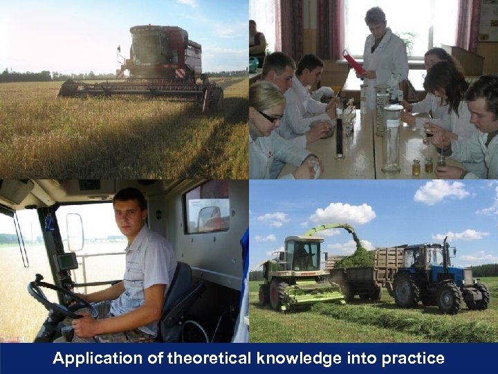 Application of theoretical knowledge into practice 