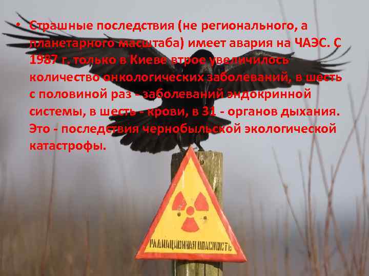  • Страшные последствия (не регионального, а планетарного масштаба) имеет авария на ЧАЭС. С