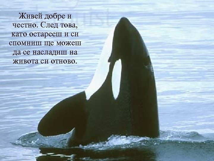 Живей добре и честно. След това, като остарееш и си спомниш ще можеш да