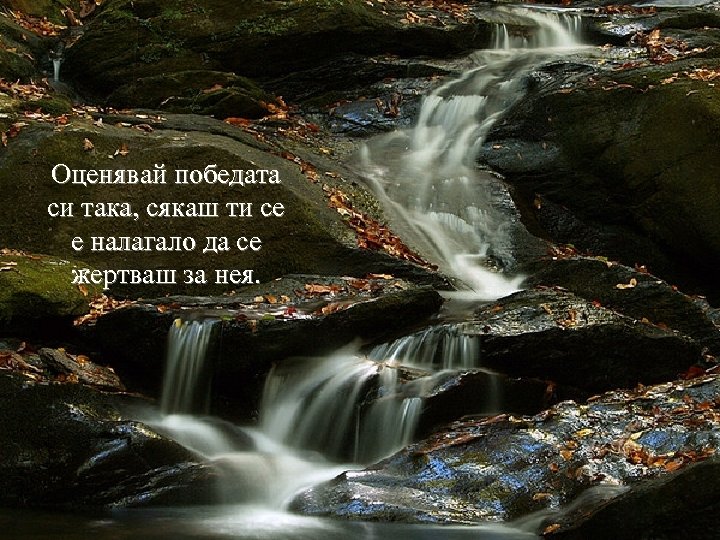Оценявай победата си така, сякаш ти се е налагало да се жертваш за нея.