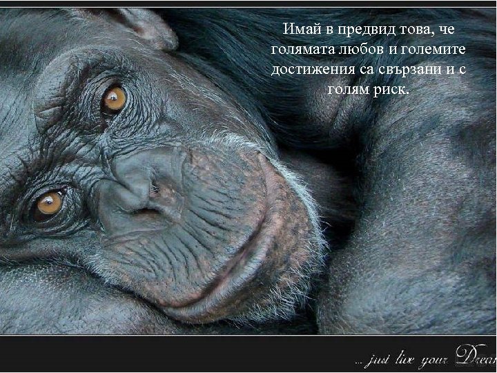 Имай в предвид това, че голямата любов и големите достижения са свързани и с