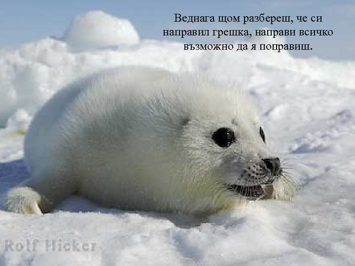 Веднага щом разбереш, че си направил грешка, направи всичко възможно да я поправиш. 