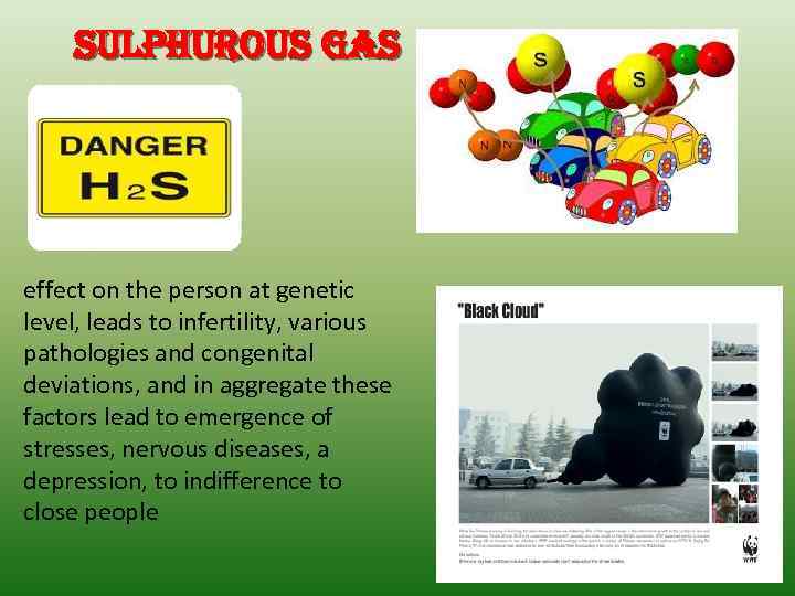 sulphurous gas effect on the person at genetic level, leads to infertility, various pathologies