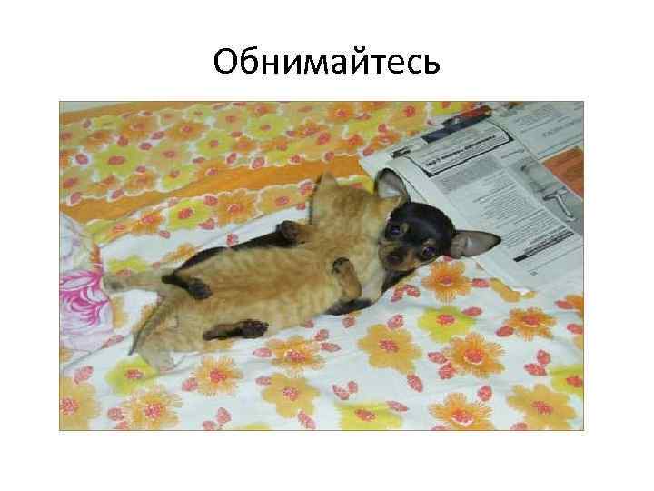 Обнимайтесь 
