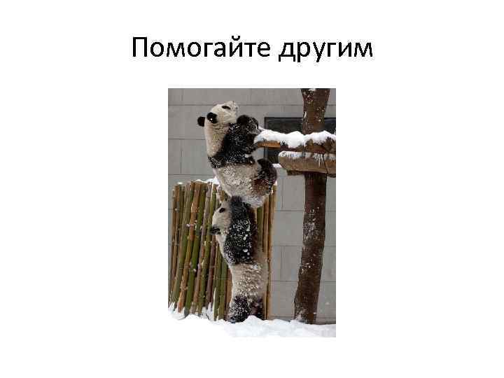 Помогайте другим 