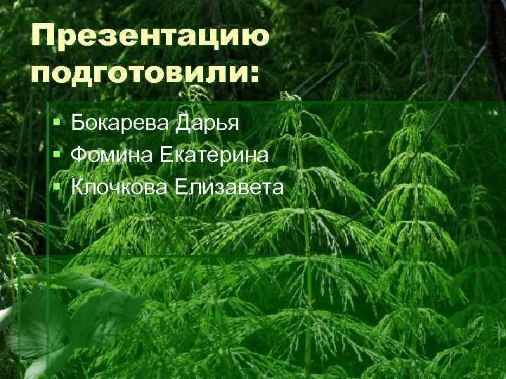 Презентацию подготовили: § § § Бокарева Дарья Фомина Екатерина Клочкова Елизавета 