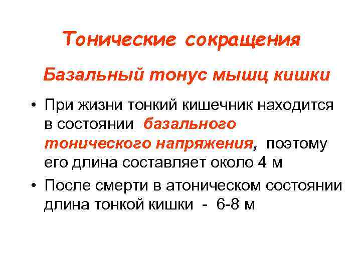 Тонические сокращения Базальный тонус мышц кишки • При жизни тонкий кишечник находится в состоянии
