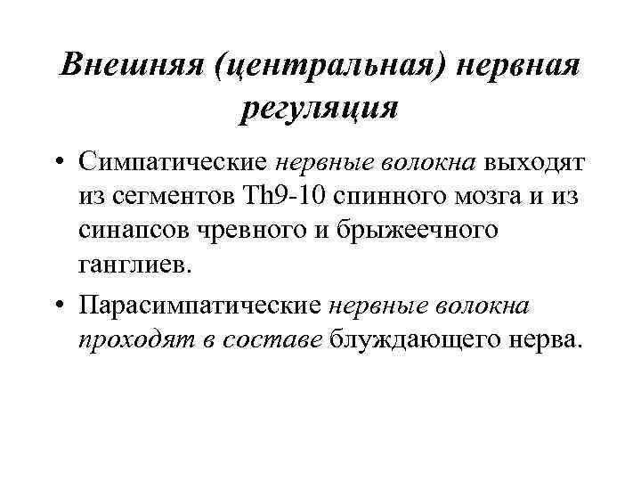 Внешняя (центральная) нервная регуляция • Симпатические нервные волокна выходят из сегментов Тh 9 -10