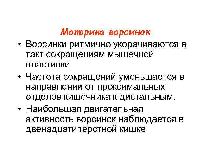 Моторика ворсинок • Ворсинки ритмично укорачиваются в такт сокращениям мышечной пластинки • Частота сокращений
