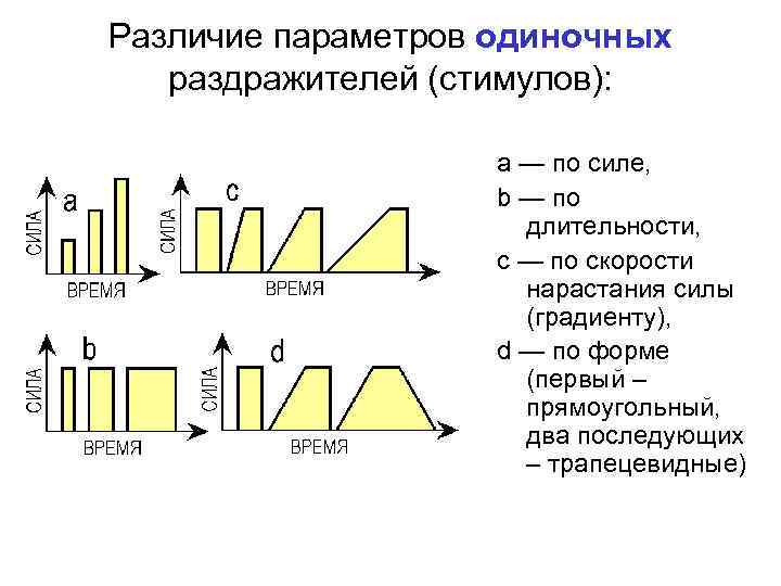 Различие параметров одиночных раздражителей (стимулов): а — по силе, b — по длительности, c