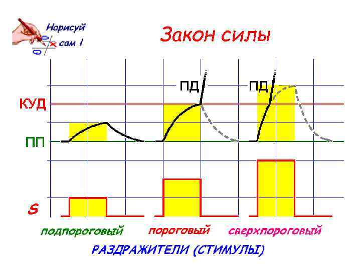 Закон силы 