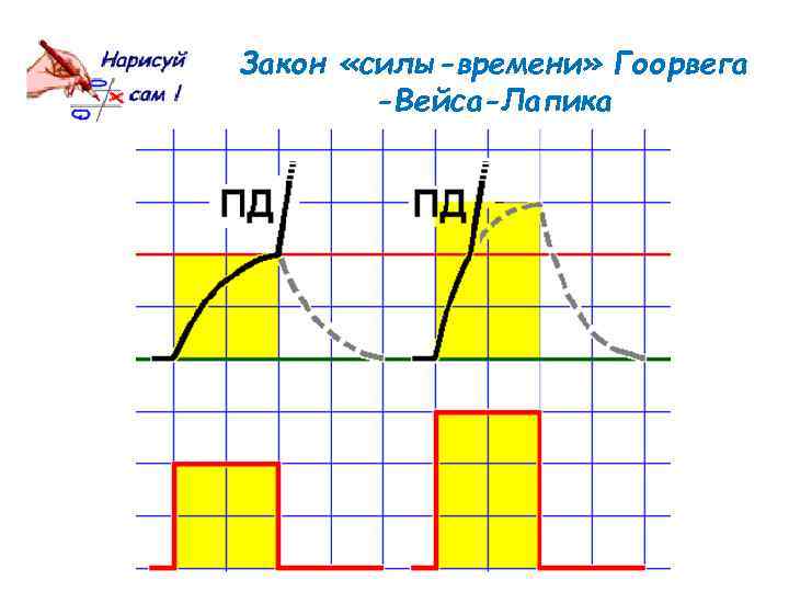 Закон «силы-времени» Гоорвега -Вейса-Лапика 