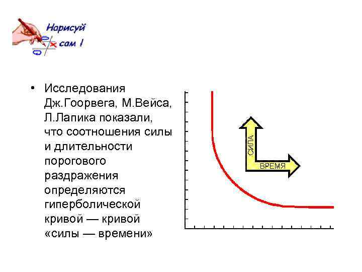  • Исследования Дж. Гоорвега, М. Вейса, Л. Лапика показали, что соотношения силы и