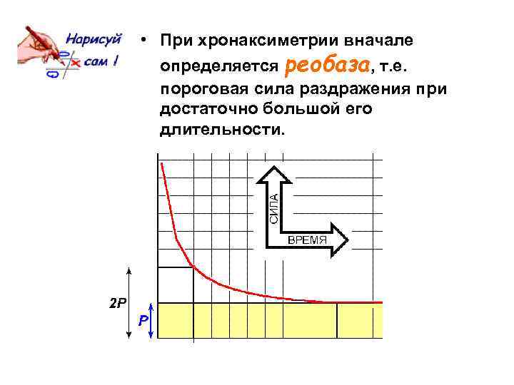  • При хронаксиметрии вначале определяется реобаза, т. е. пороговая сила раздражения при достаточно