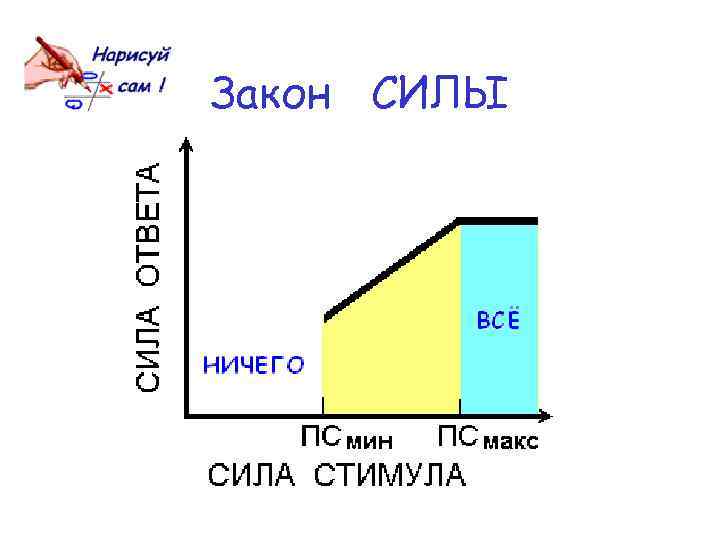 Закон СИЛЫ 