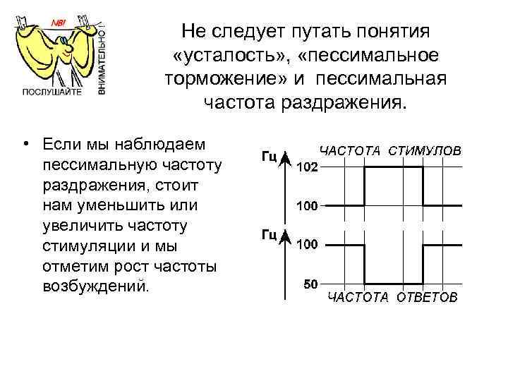 Не следует путать понятия «усталость» , «пессимальное торможение» и пессимальная частота раздражения. • Если