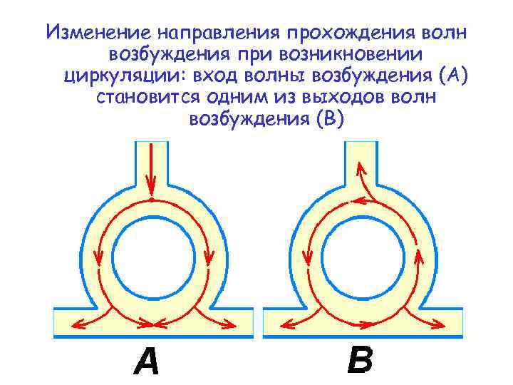 Картинки для возбуждения