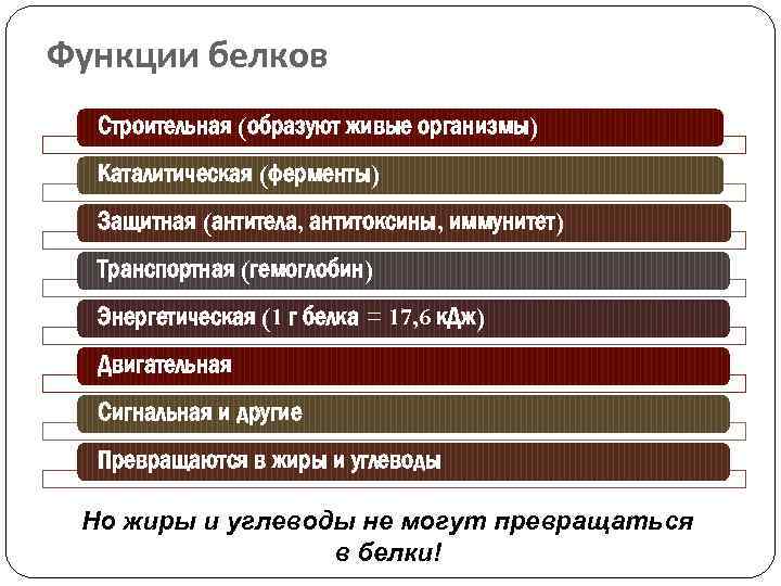 Функции белков Строительная (образуют живые организмы) Каталитическая (ферменты) Защитная (антитела, антитоксины, иммунитет) Транспортная (гемоглобин)