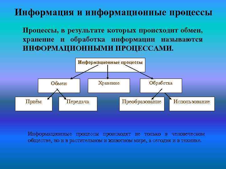 Фазы информационного процесса