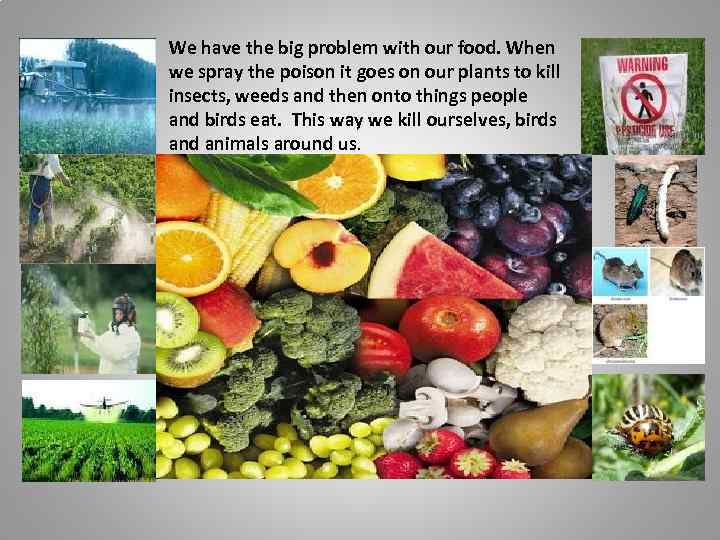 We have the big problem with our food. When we spray the poison it