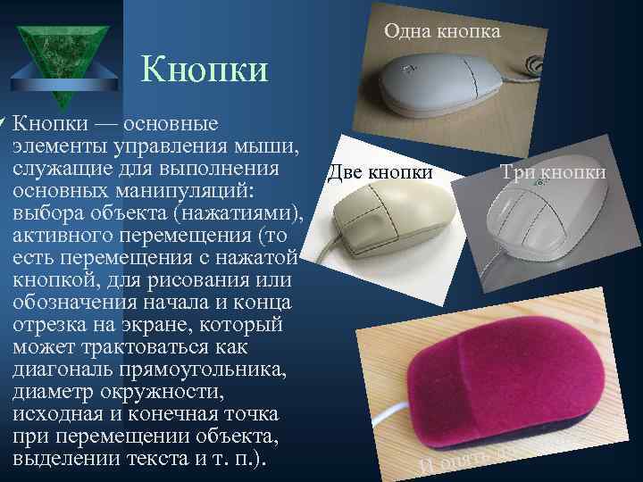 Одна кнопка Кнопки Ú Кнопки — основные элементы управления мыши, служащие для выполнения основных