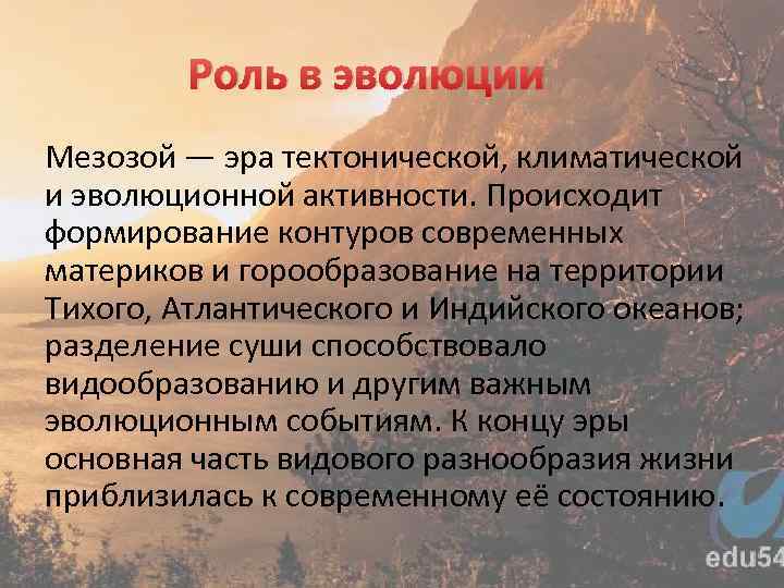 Роль в эволюции Мезозой — эра тектонической, климатической и эволюционной активности. Происходит формирование контуров