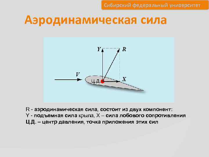 Сибирский федеральный университет Аэродинамическая сила R - аэродинамическая сила, состоит из двух компонент: Y