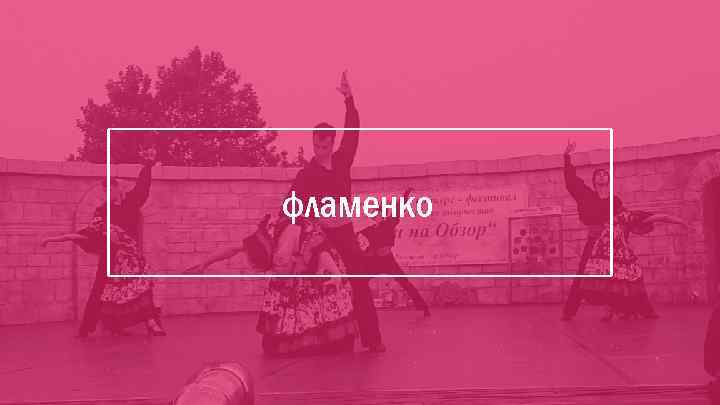 фламенко 