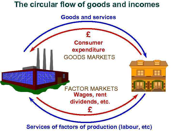 The circular flow of goods and incomes Goods and services £ Consumer expenditure GOODS