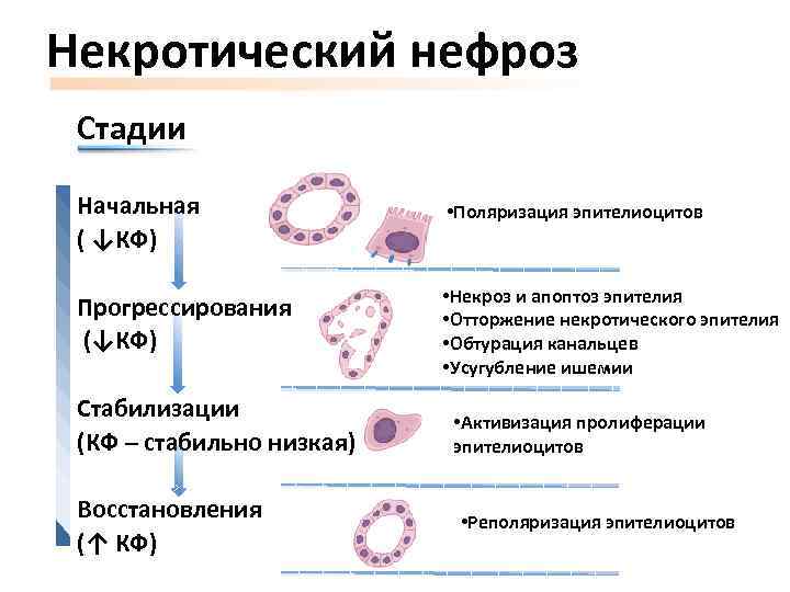 Дисгидроз фото начальная стадия