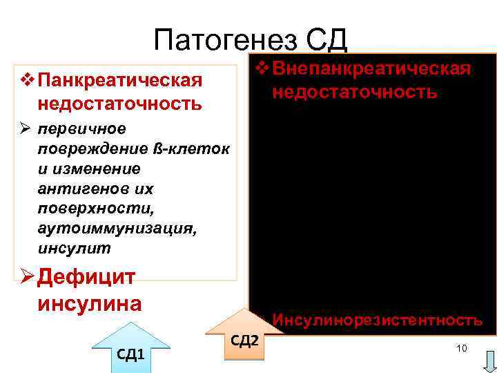 Патогенез СД v Панкреатическая недостаточность v Внепанкреатическая недостаточность ü изменения структуры Ø первичное ,