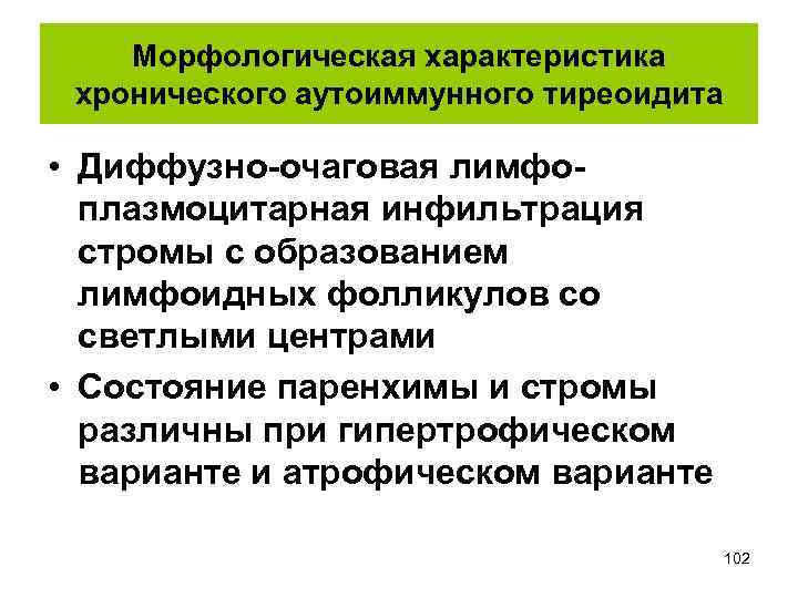 Морфологическая характеристика хронического аутоиммунного тиреоидита • Диффузно-очаговая лимфоплазмоцитарная инфильтрация стромы с образованием лимфоидных фолликулов