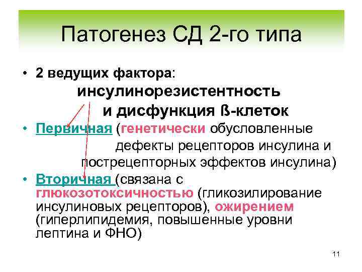 Патогенез СД 2 -го типа • 2 ведущих фактора: инсулинорезистентность и дисфункция ß-клеток •