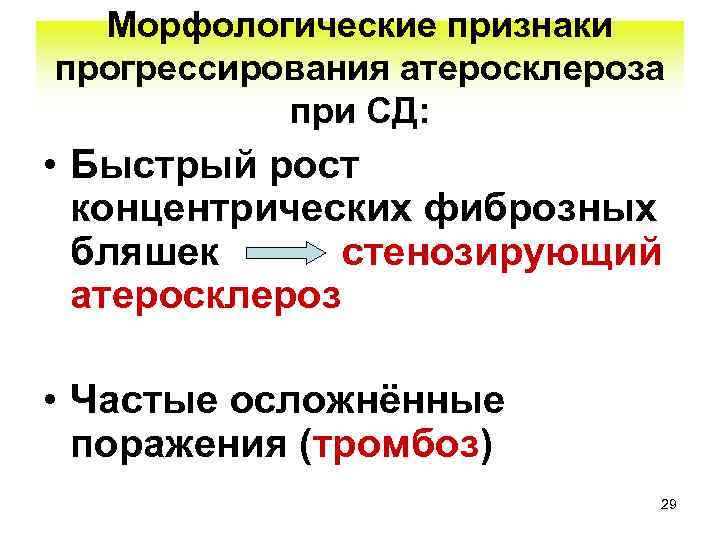 Морфологические признаки прогрессирования атеросклероза при СД: • Быстрый рост концентрических фиброзных бляшек стенозирующий атеросклероз