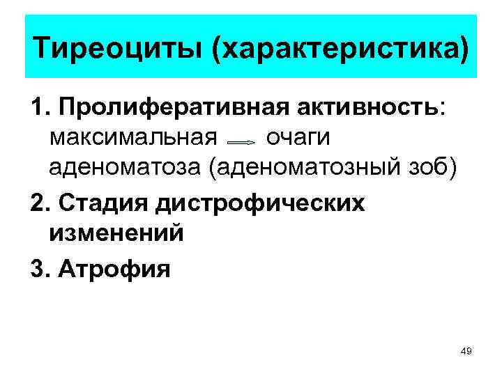 Тиреоциты (характеристика) 1. Пролиферативная активность: максимальная очаги аденоматоза (аденоматозный зоб) 2. Стадия дистрофических изменений