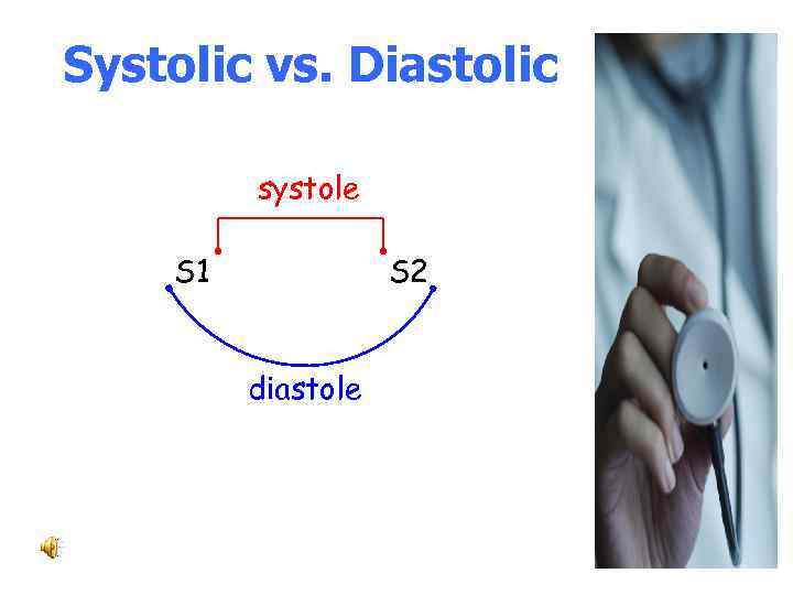 Systolic vs. Diastolic systole S 1 S 2 diastole 