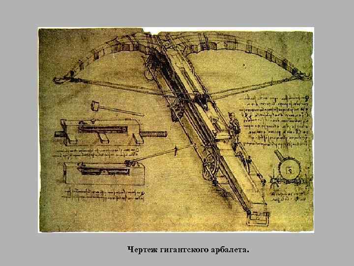 Чертеж гигантского арбалета. 