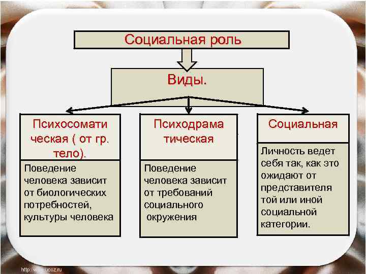  Социальная роль Виды. Психосомати ческая ( от гр. тело). Поведение человека зависит от